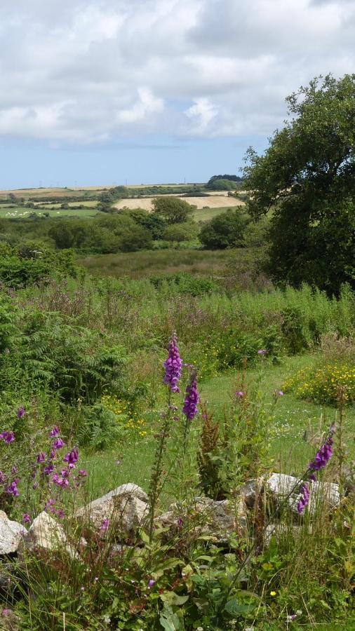 Higher Trenear Farm B&B Helston Esterno foto